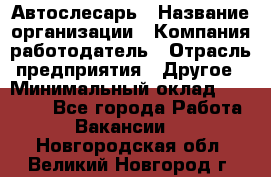 Автослесарь › Название организации ­ Компания-работодатель › Отрасль предприятия ­ Другое › Минимальный оклад ­ 25 000 - Все города Работа » Вакансии   . Новгородская обл.,Великий Новгород г.